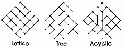 A lattice, a tree, and an acyclic graph